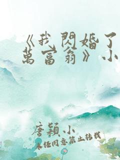 《我闪婚了个亿万富翁》小说