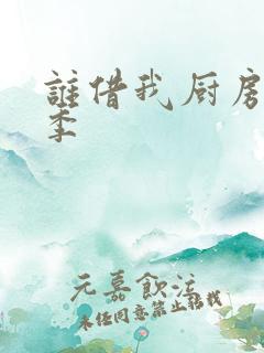 谁借我厨房第三季