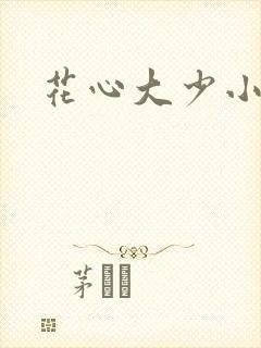 花心大少小说