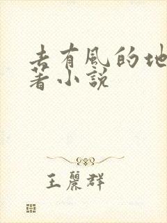 去有风的地方原著小说