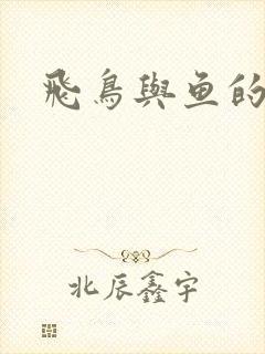 飞鸟与鱼的故事