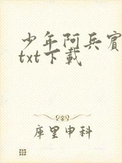 少年阿兵宾小说txt下载