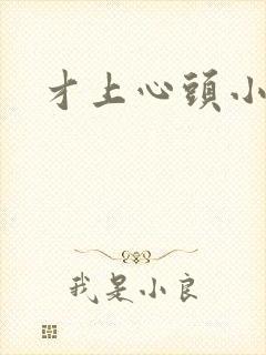 才上心头小说
