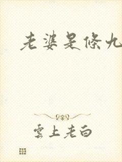 老婆是条九尾狐