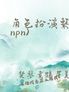 角色扮演系统(npn)