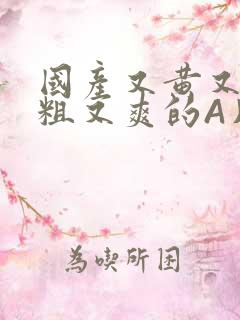 国产又黄又猛又粗又爽的A片小说