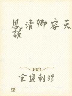 凤清卿容天凌小说