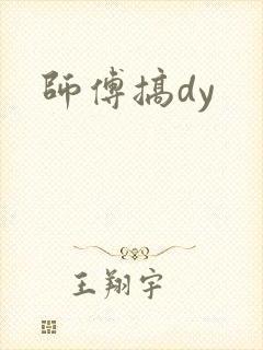 师傅搞dy