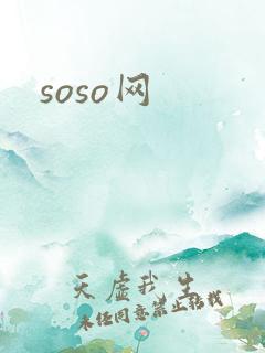 soso网