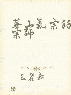 华山气宗的形意宗师