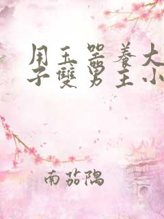 用玉器养大的皇子双男主小说