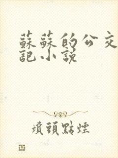 苏苏的公交车日记小说