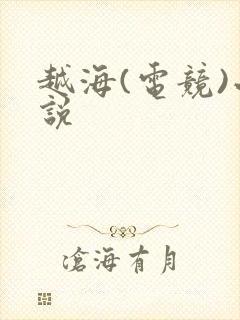 越海(电竞)小说