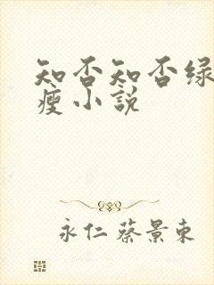 知否知否绿肥红瘦小说