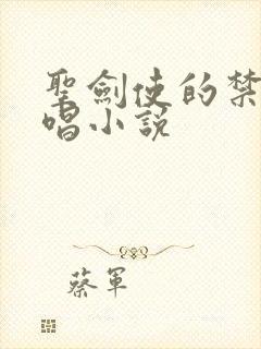 圣剑使的禁咒咏唱小说