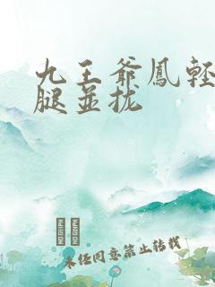 九王爷凤轻尘把腿并拢