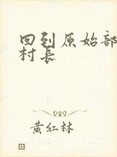 回到原始部落当村长