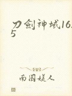 刀剑神域16.5