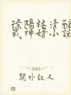徐阳林清雅绝世武神婿小说