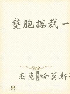 双胞总裁一个妻