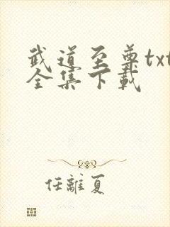 武道至尊txt全集下载