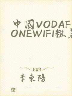 中国VODAFONEWIFI粗暴APP