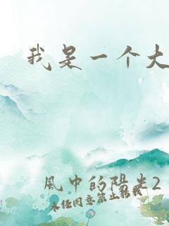 我是一个大盗贼