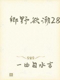 乡野欲潮28章