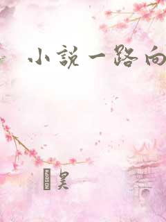 小说一路向西