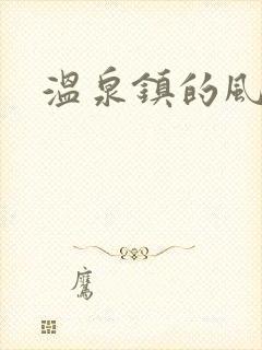 温泉镇的风流事