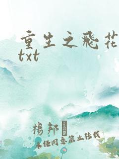 重生之飞花落照txt