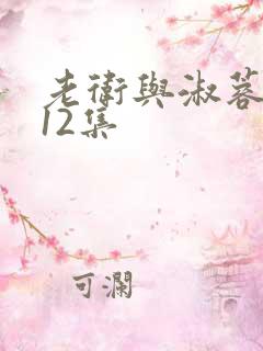 老卫与淑蓉1一12集