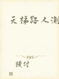 天梯路人测试器