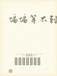 偏偏等不到小说