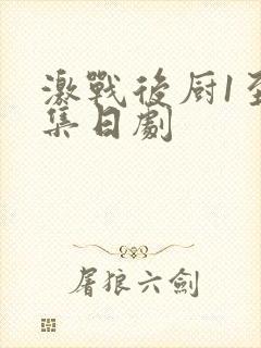 激战后厨1至5集日剧