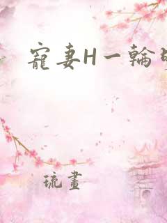 宠妻H一轮明月