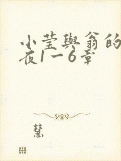 小莹与翁的销魂夜1一6章