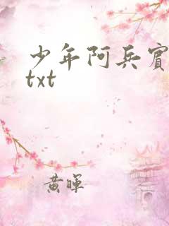 少年阿兵宾小说txt
