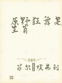 原野狂舞是什么生肖