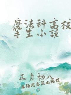 魔法科高校的劣等生小说