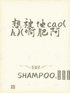 想被他cao(h)(啊肥阿