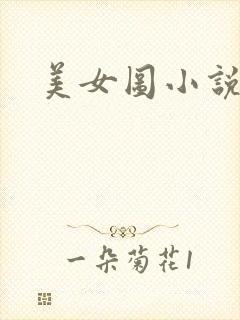 美女图小说下载