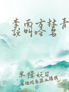 李南方林青青小说叫啥名