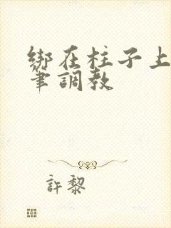 绑在柱子上用毛笔调教