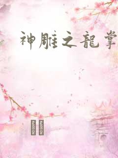 神雕之龙掌门
