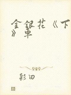 金银花《下厨房》车