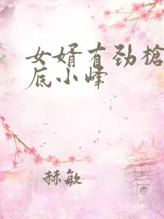 女婿有劲枪枪到底小峰