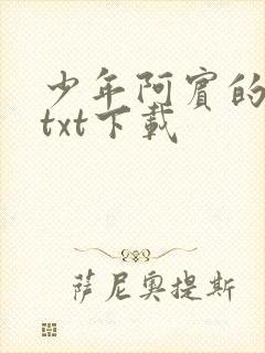 少年阿宾的故事txt下载