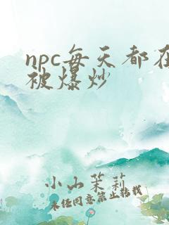 npc每天都在被爆炒