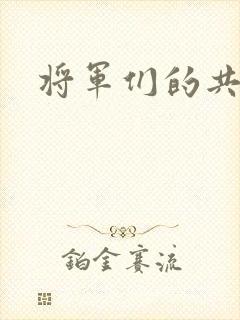 将军们的共妻H